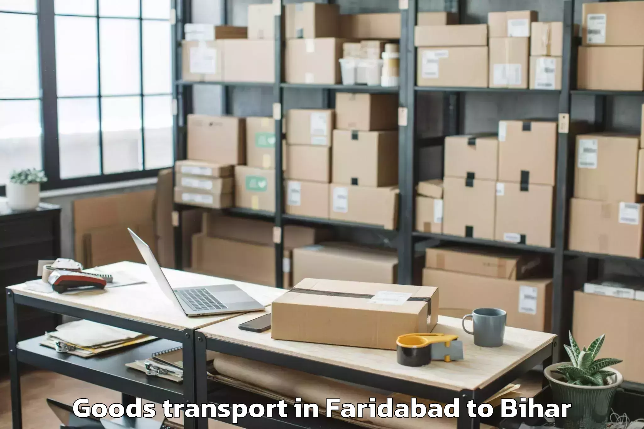 Expert Faridabad to Katiya Goods Transport